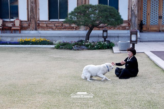 사진 6. 사진=청와대 제공