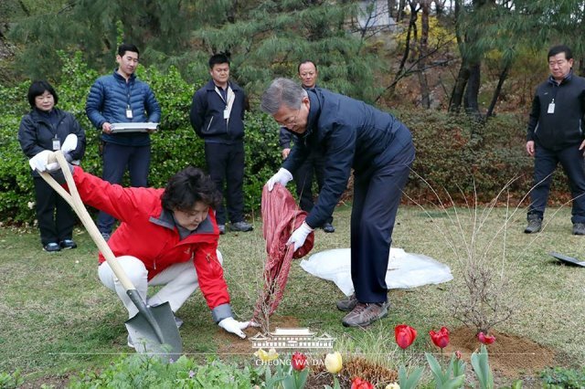 사진 7. 사진=청와대 제공
