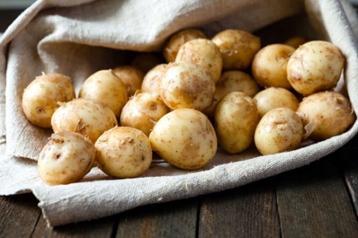 사진 출처 | ⓒGettyImagesBank