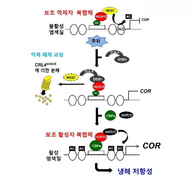 사진=과학기술정보통신부