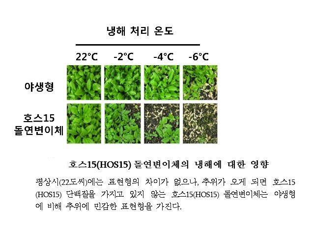 사진=과학기술정보통신부