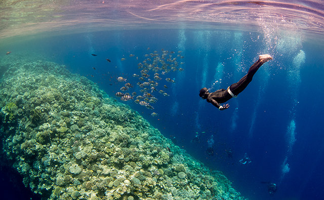 프리다이빙 삼매경 한 프리다이버가 이집트 다합의 블루홀 안으로 잠수해 해저 절벽의 산호와 열대어를 
관찰하고 있다. 홍해에 위치한 다합의 블루홀은 깊이 130m, 지름 60m의 거대한 동공(洞空·싱크홀)으로 다이버들의 
성지(聖地)로도 불린다. 다합 프리다이브 아지트 제공