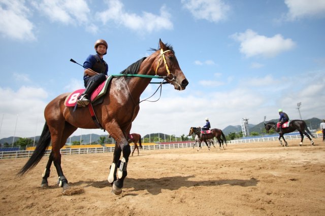 사진제공｜한국마사회