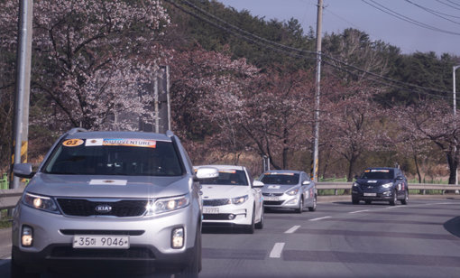 제주도를 찾은 싱가포르 자가운전 관광객들. 사진제공｜한국관광공사