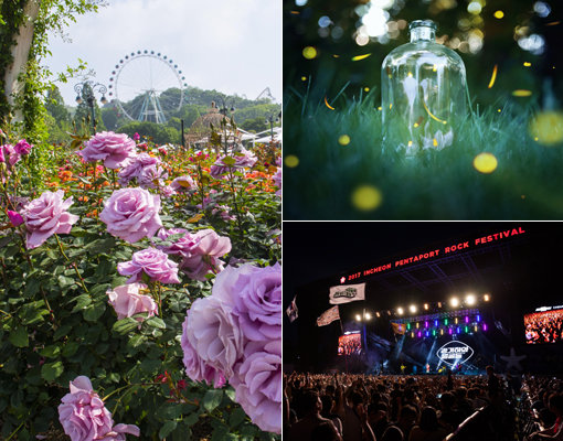 여름의 초입 다양한 축제와 이벤트가 나들이객을 반긴다. 100만송이 장미가 장관을 연출하는 ‘에버랜드 장미축제’, 반짝반짝 빛을 내는 애반딧불이를 관찰할 수 있는 ‘화담숲 반딧불이 이벤트’, 음악을 즐기며 더위를 물리칠 수 있는 ‘인천 펜타포트 음악축제’(왼쪽부터 시계 방향으로). 사진제공｜에버랜드·곤지암리조트·인천관광공사