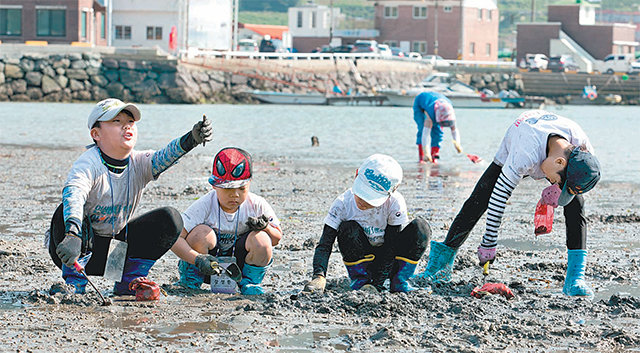 2일 경남 거제시 다대어촌체험마을 주변 바닷가에서 아이들이 조개 잡기 등 갯벌 체험을 하고 있다. 한국어촌어항협회 제공