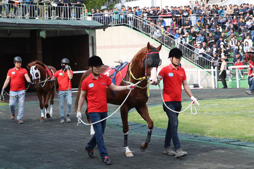2018년5월13일 코리안더비에 출전한 월드선