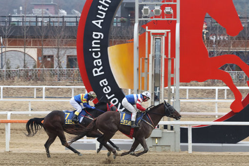 2018년3월4일 서울스포츠배 신형철 마스크