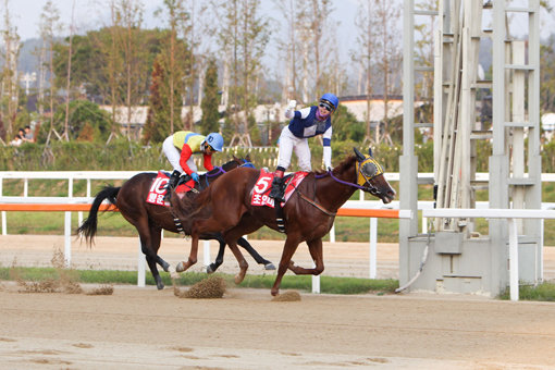 2017년9월24일 경기도지사배 최범현 초인마