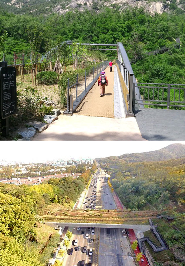 지난해 연결된 무악재 녹지연결로(위쪽 사진)와 양재대로 녹지연결로. 서울시 제공