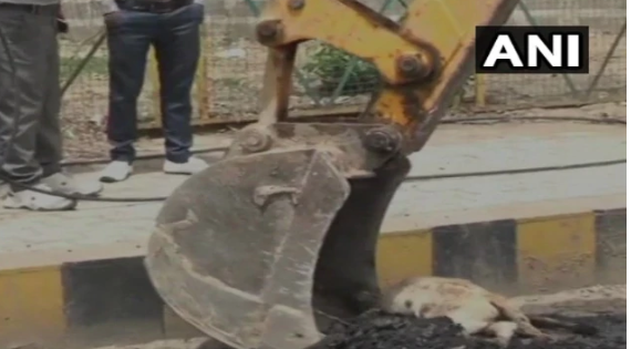 사진=인도 ANI통신