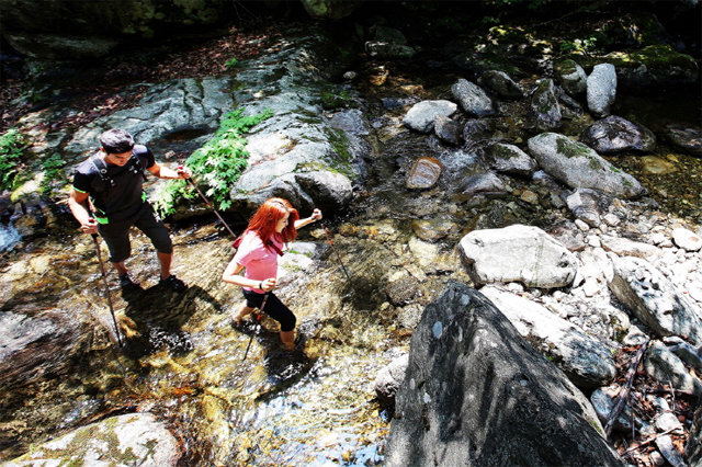 여름 계곡 트레킹 시 아쿠아 샌들 착용법을 알아 두면 사고 예방에 도움이 될 수 있다. 레드페이스 제공