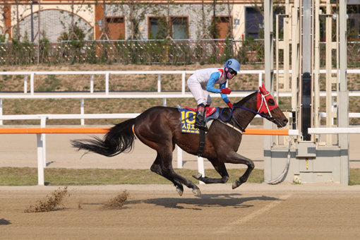 2017년6월18일 스포츠조선배 최범현 검빛강자