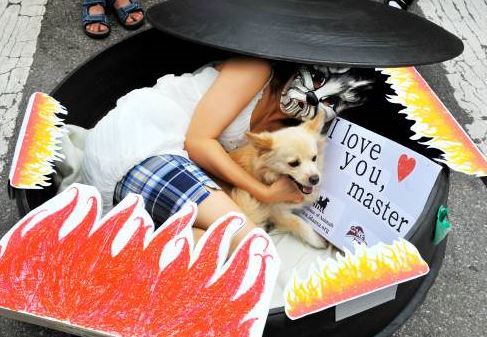 해당 사진은 기사와 관련 없음(동아일보=개고기 식용 반대 집회)