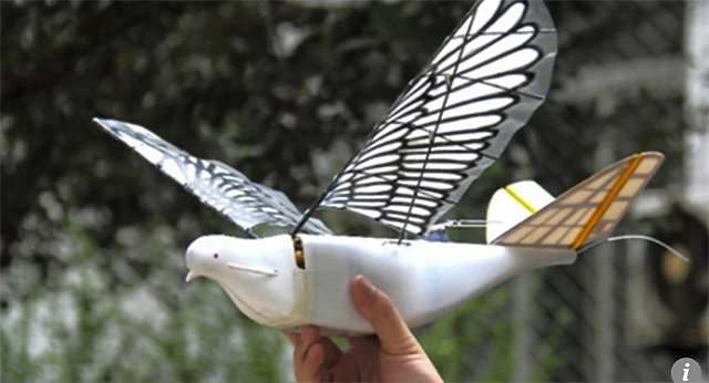 중국이 자국민 감시용으로 개발한 것으로 알려진 비둘기 형태의 ‘스파이 버드’ 드론. 비둘기 날갯짓을 구현해 냈다고 사우스차이나모닝포스트(SCMP)가 보도했다. 사진 출처 사우스차이나모닝포스트(SCMP)