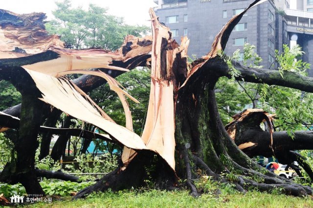 사진=수원시청 제공