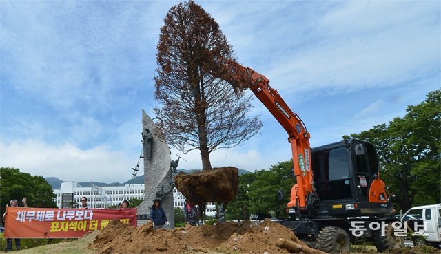 27일 경남 창원시 경남도청 정문 화단에 있던 ‘채무제로 기념식수’ 나무가 굴착기로 뽑히고 있다. 이 나무는 홍준표 전 
경남도지사가 2016년 6월 “경남도의 채무를 다 갚았다”며 채무제로 선포식을 하면서 심은 것이다. 창원=박경모 기자 
momo@donga.com