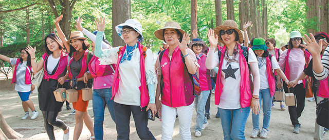 남이섬에서 열린 동국제약 ‘동행 캠페인’에 함께한 참가자들이 나무들로 둘러싸인 산책길을 걸으면서 환하게 웃고 있다. 참가자들은 “엄마, 아내, 주부가 아닌 나 자신에게 집중하는 시간이 됐다”고 입을 모았다. 동국제약 제공