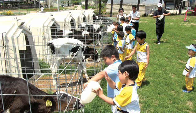 어린이들이 목장에서 젖소에게 젖을 먹이고 먹이를 주는 체험행사에 참여해 즐거워하고 있다. 한국은 10월 국제 낙농업계 최대 행사인 ‘2018 국제낙농연맹(IDF) 연차총회’를 처음으로 대전에서 열고 우리 낙농업의 우수성을 알릴 계획이다.
