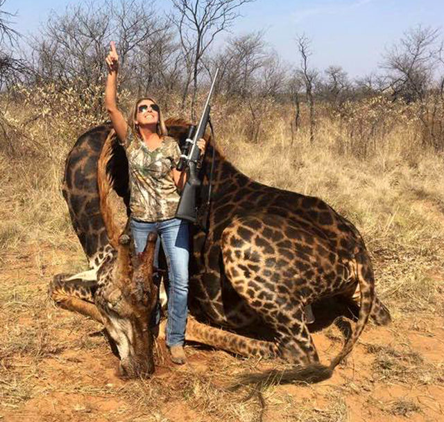 미국 여성 테스 톰프슨 탤리가 자신이 사냥한 기린 앞에서 손으로 하늘을 찌르며 웃고 있다. 사진 출처 아프리카다이제스트 트위터