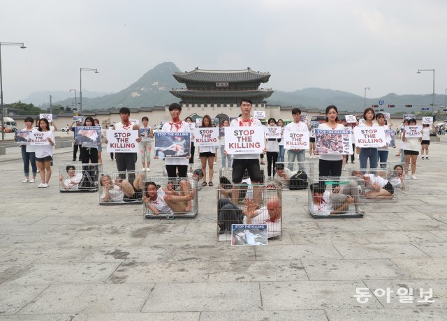 28일 오후 서울 광화문 북측광장에서 동물권단체 케어 주최로 열린 개도살 금지 퍼포먼스 “STOP THE KILLING”에 참가한
 참가자들이 얼굴에 식용물감으로 피 를 두루고 직접 좁은 개철창에 들어가 고통 받으며 죽어가는 개들의 아픔을 체험하기도 했다. 
김동주 기자 zoo@donga.com