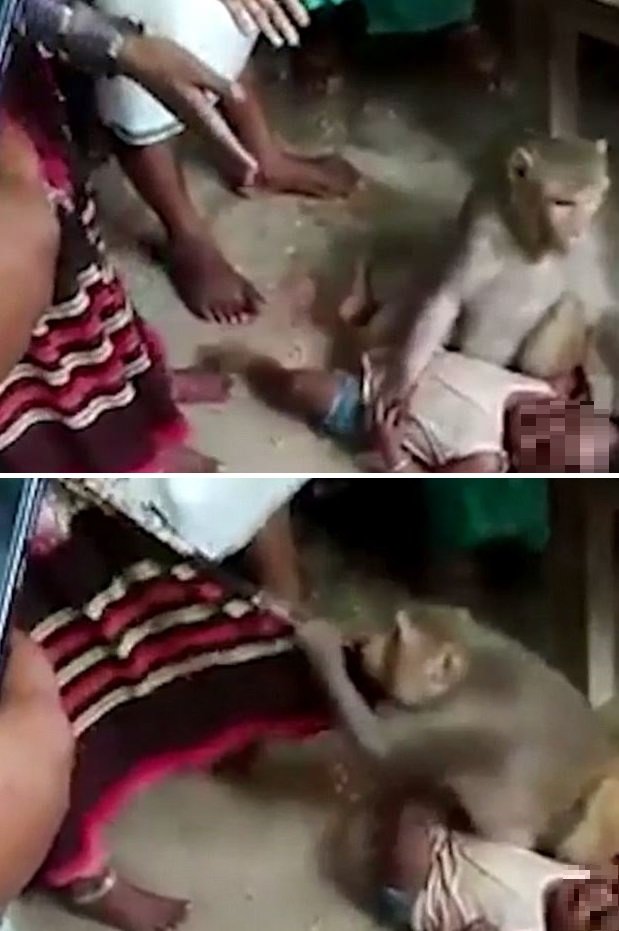 사진=Newslions 영상 캡처