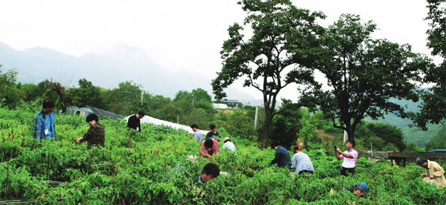귀농귀촌이 충북 단양군에 활력을 불어넣으면서 인구 증가를 이끌고 있다. 예비 귀농귀촌인들이 단양에서 귀농귀촌 체험을 하는 모습. 단양군 제공