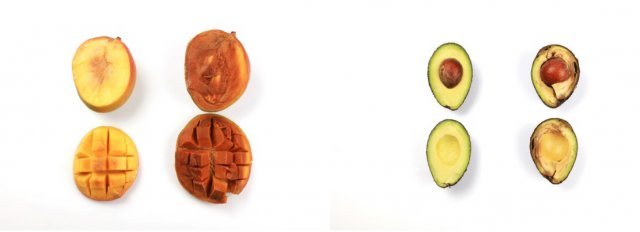 < 라이펜픽으로 저장한 과일을 비교한 모습 >(출처=IT동아)