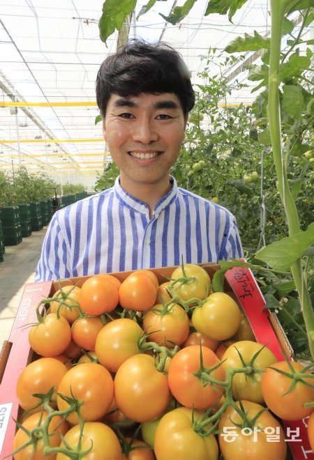 전남 보성 벌교에서 최첨단 유리온실로 토마토를 재배하고 있는 청년창업농장 화니팜.유리온실에서는 병해충 및 농약을 최소화하고 자동화된 시스템으로 제습기를 통한 직접 제습, 보광,탄산 공급 등의 첨단 농업을 실현하고 있다. 보성=박영철기자 skyblue@donga.com