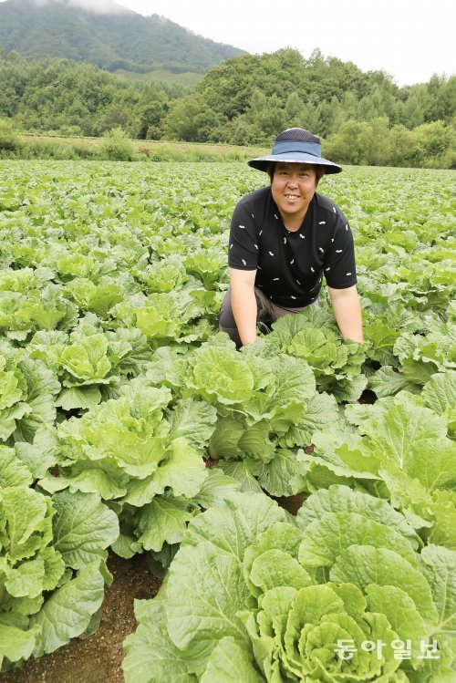 강원 강릉시 왕산면으로 귀농해 배추 농사 등으로 성공 정착한 고승연씨