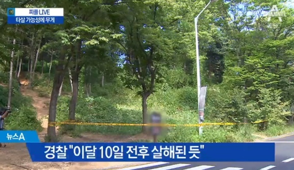 채널A 뉴스 캡처.