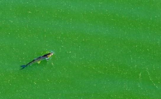 해당 사진은 기사와 관련 없음(동아일보)