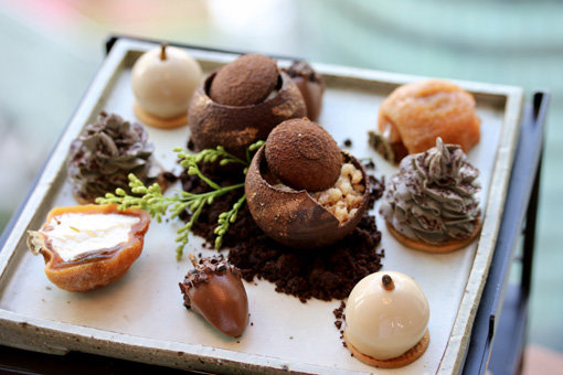 제철 식재료와 장독대 도토리, 솔방울 모양의 각종 디저트로 가을 정취를 표현한 파크하얏트 서울의 ‘폴 인 애프터눈 티’. 사진제공｜파크하얏트 서울