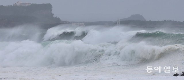 제주=서영수 객원기자