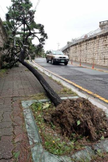 해당 사진은 기사와 관련 없음(동아일보)