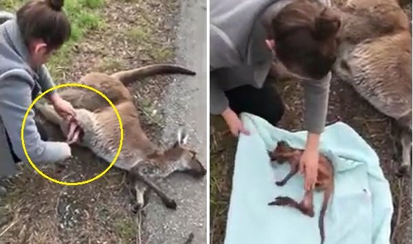 사진=바그너 씨 소셜미디어