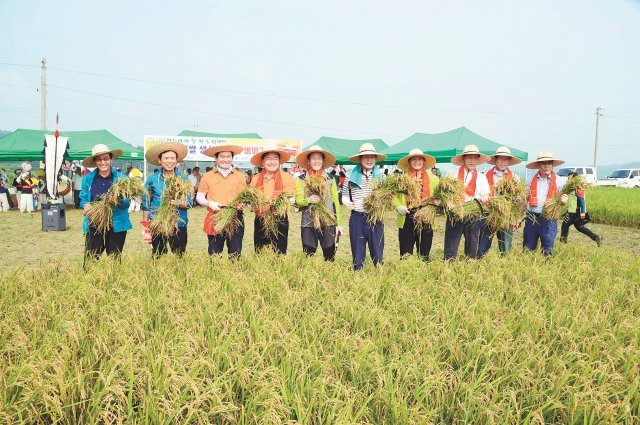 전남 순천에서는 전국에서 가장 먼저 모내기를 하고 벼를 수확해 ‘하늘아래 첫 쌀, 순천햅쌀’이란 브랜드를 달아 판매한다.