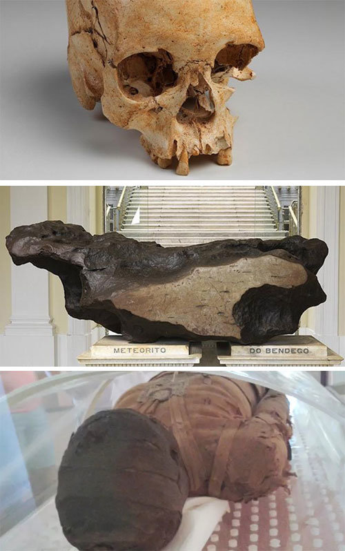 브라질 국립 역사박물관의 화재로 유물의 상당수가 소실됐다. 위 사진부터 약 1만2000년 전 인류 두개골 ‘루지아’, 1784년 
발견된 5.36t 무게의 브라질 최대 운석, 1∼3세기 이집트 ‘케리마 공주’ 미라. 브라질 국립 역사박물관 홈페이지