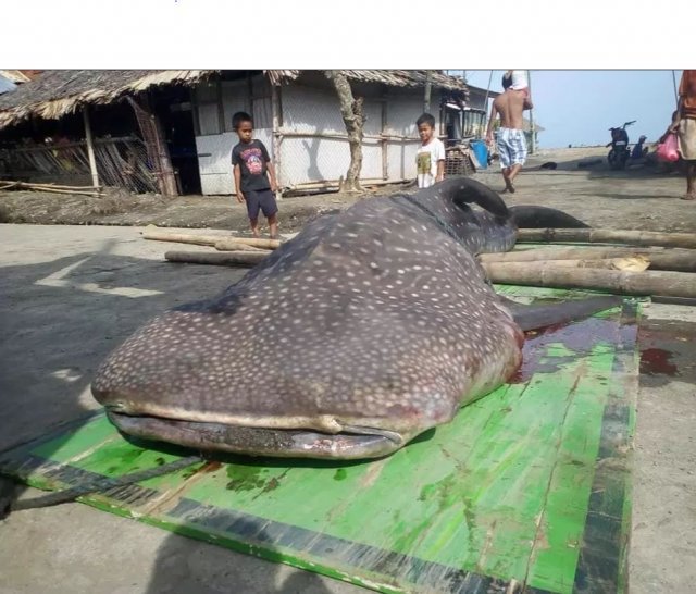 사진=대럴 블랫츨리 페이스북 캡처