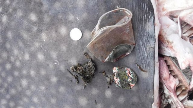 사진=대럴 블랫츨리 페이스북 캡처