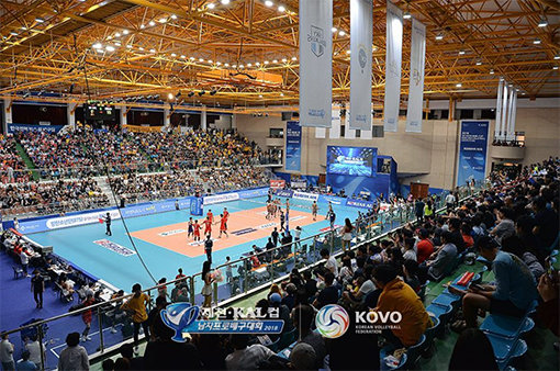 사진제공｜한국배구연맹