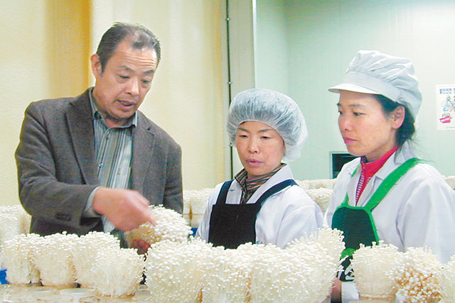 그린합명회사 박희주 대표(왼쪽)가 직원들과 함께 수출용 버섯 상태를 체크하고 있다. 그린합명회사 제공