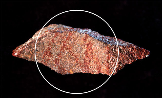 남아프리카공화국의 7만3000년 전 지층에서 발견된 손가락 두 마디 크기의 돌조각. 원 안의 선이 해시태그(#) 형태의 그림을 이루고 있다. 크레이그 포스터 제공
