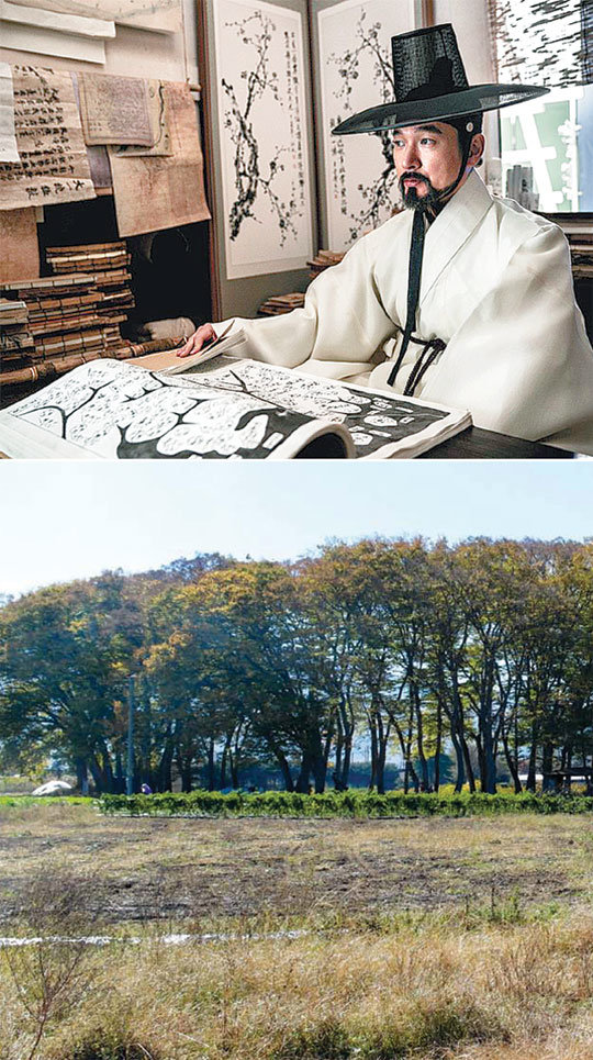 영화 ‘명당’의 한 장면과 행정리 마을숲의 모습이다. 조선시대 풍수는 ‘환경을 사람이 살기 좋게 조성한다’는 측면에서 현대의 환경 공학에 비유할 수 있을 정도로 과학적이라는 게 전문가의 설명이다. 최원석 교수·쇼박스·메가박스중앙㈜플러스엠