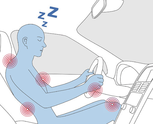 자동차 운전은 어깨, 허리, 무릎, 발목 근육을 지속적으로 자극해 과사용과 긴장에 따른 피로를 유발한다.