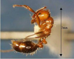사진=동아일보 DB