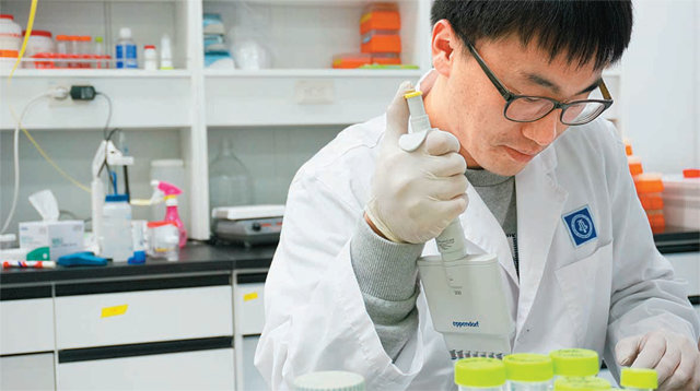 종근당 효종연구소 연구원이 세포주 약효평가 실험을 하고 있다. 종근당 제공