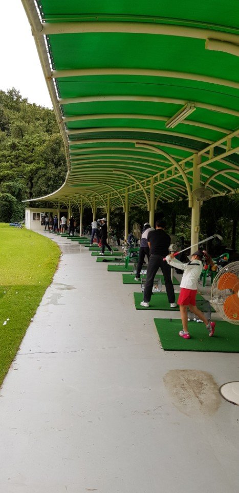 서울 수도권의 한 골프연습장에서 훈련을 하고 있는 선수들.
