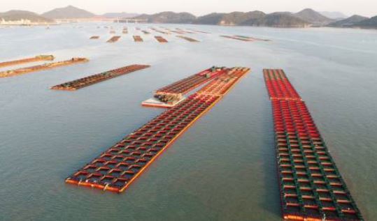 해당 사진은 기사와 관련 없음(완도=동아일보)