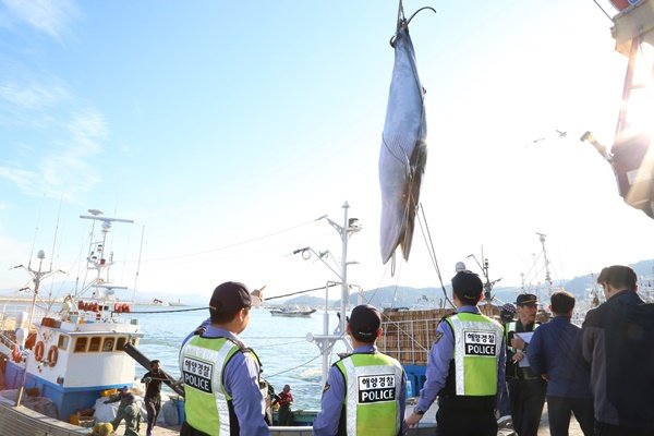 사진제공=보령해양경찰서© News1